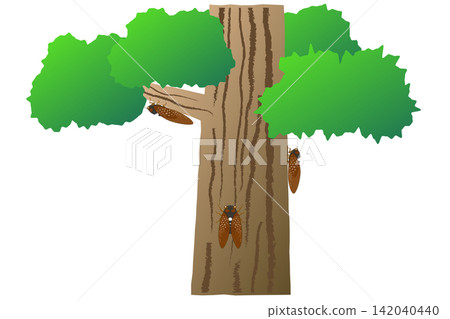 A tree where a cicada landed A tree where a cicada landed 142040440