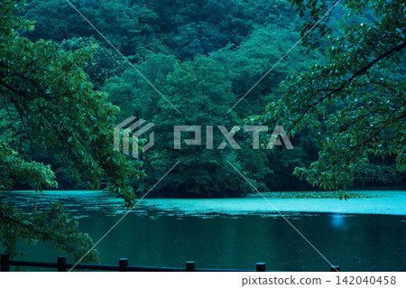 雨水落下，池塘和森林籠罩在一片深綠色之中，構成了一幅寧靜的畫面。 142040458