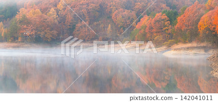 森林中的紅葉(溫原湖周邊) 森林中的紅葉(溫原湖周邊) 142041011