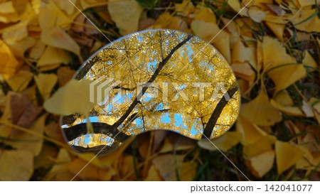 A carpet of ginkgo leaves and the autumn sky reflected in a mirror. 142041077