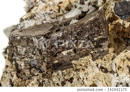 Macro stone Pyrite mineral in rock on a white background Macro stone Pyrite mineral in rock on a white background 142041175