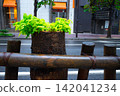 清晨，銀座的街道 142041234