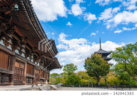 Autumn in Kyoto: The main hall of Toji Temple and the blue sky Autumn in Kyoto: The main hall of Toji Temple and the blue sky 142041383