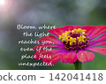 Blooming flower image with inspirational words symbolizing transformation, happiness, growth, and appreciation of nature. 142041418