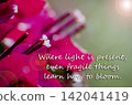 Where light is present, even fragile things learn how to bloom. Inspirational and growth message. 142041419