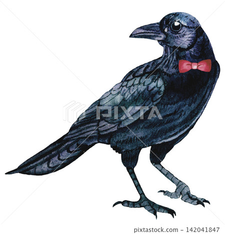 Mysterious Black Crow with Red Bow Halloween Watercolor Illustration Mysterious Black Crow with Red Bow Halloween Watercolor Illustration 142041847