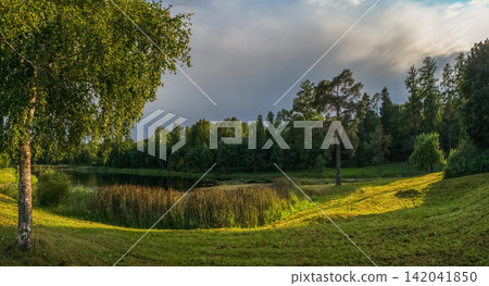 Sunny summer landscape with lake and birch tree in Priorat Park, Gatchina, Russia. Sunny summer landscape with lake and birch tree in Priorat Park, Gatchina, Russia. 142041850