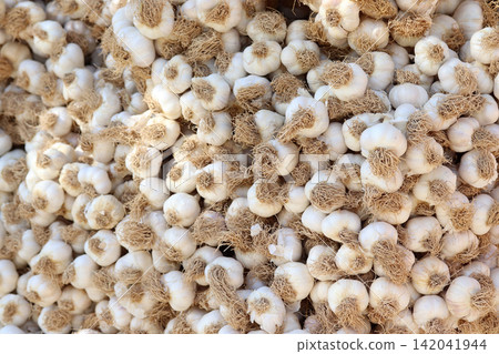 fresh organic garlics in the market 142041944