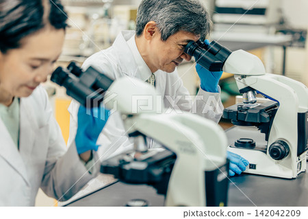 Researchers who conduct research using microscopes in the laboratory Researchers who conduct research using microscopes in the laboratory 142042209