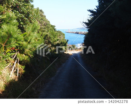 位於種子島西之表港的「歡迎來到種子島」紀念碑。 位於種子島西之表港的「歡迎來到種子島」紀念碑。 142042278