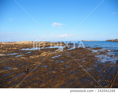 位於種子島西之表港的「歡迎來到種子島」紀念碑。 位於種子島西之表港的「歡迎來到種子島」紀念碑。 142042289