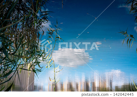 Serene blue lake water framed by reeds and reflected trees, creating an atmospheric nature scene with ripples, rich reflections, tranquil mood, summer light and peaceful wilderness, ideal for tourism. Serene blue lake water framed by reeds and reflected trees, creating an atmospheric nature scene with ripples, rich reflections, tranquil mood, summer light and peaceful wilderness, ideal for tourism. 142042445