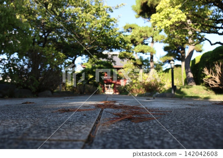 The lush grounds and stone-paved approach to Tokuganji Temple in Ichikawa City, Chiba Prefecture. The lush grounds and stone-paved approach to Tokuganji Temple in Ichikawa City, Chiba Prefecture. 142042608