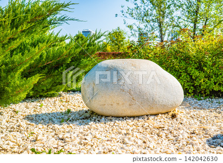 Large smooth boulder stone surrounded by white gravel pebbles among green plants in park garden, zen landscaping concept Large smooth boulder stone surrounded by white gravel pebbles among green plants in park garden, zen landscaping concept 142042630