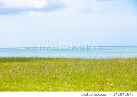 A grassy beach stretching along the coast and the emerald green sea of Okinawa (Toyosaki Seaside Park) 142042675