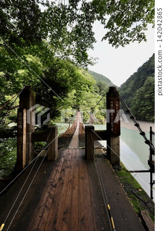 Synopsis gorgeous suspension bridge Synopsis gorgeous suspension bridge 142042865