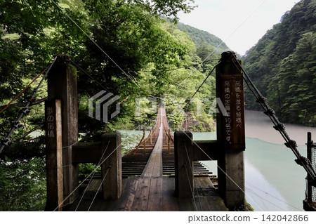 Synopsis gorgeous suspension bridge Synopsis gorgeous suspension bridge 142042866
