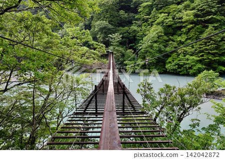 Synopsis gorgeous suspension bridge Synopsis gorgeous suspension bridge 142042872