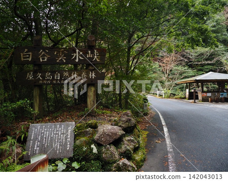 Entrance to Shiratani Unsuikyo Gorge in Yakushima and information board for Yakushima Nature Recreation Forest Entrance to Shiratani Unsuikyo Gorge in Yakushima and information board for Yakushima Nature Recreation Forest 142043013