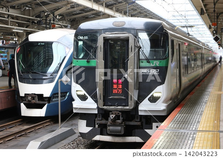 The Limited Express Kusatsu/Shima (E257 series 5500 series) and the Limited Express Saphir Odoriko (E261 series) line up on the platform at Tokyo Station. The Limited Express Kusatsu/Shima (E257 series 5500 series) and the Limited Express Saphir Odoriko (E261 series) line up on the platform at Tokyo Station. 142043223