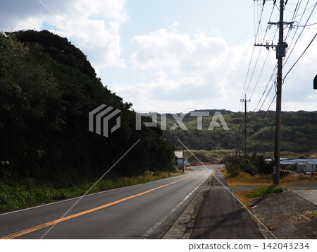 一條公路蜿蜒穿過種子島鬱鬱蔥蔥、起伏的山丘。 一條公路蜿蜒穿過種子島鬱鬱蔥蔥、起伏的山丘。 142043234