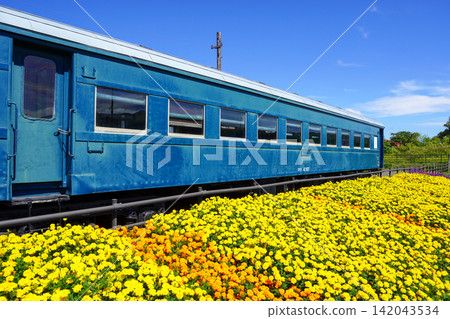 堀內鐵路紀念博物館保存完好的鐵路車廂和美麗的花園 堀內鐵路紀念博物館保存完好的鐵路車廂和美麗的花園 142043534