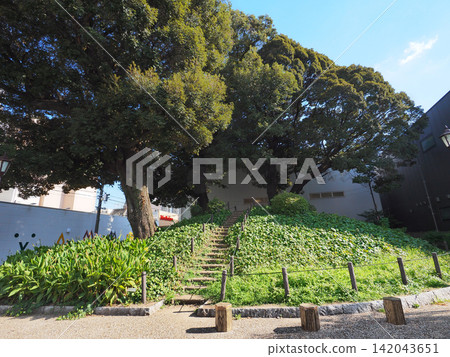 中野山古墳公園 中野山古墳公園 142043651