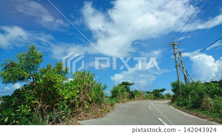 Road to the sea Road to the sea 142043924