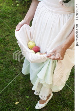 A rustic outdoor harvest scene featuring a person standing on grass, holding several red and yellow apples in the hem of a light dress with lace trim. A rustic outdoor harvest scene featuring a person standing on grass, holding several red and yellow apples in the hem of a light dress with lace trim. 142043933