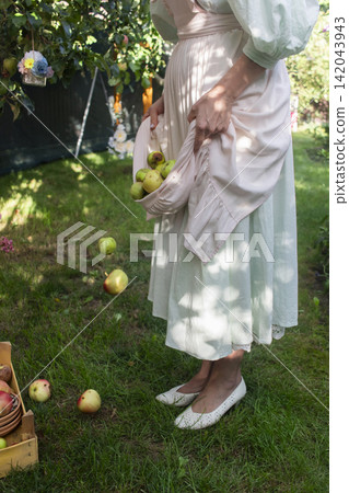 A rustic outdoor harvest scene featuring a person standing on grass, holding several red and yellow apples in the hem of a light dress with lace trim. 142043943