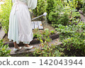 A serene outdoor gardening scene featuring a person in a light dress with a white apron and shoes, watering plants with a metal watering can. 142043944