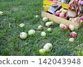 A rustic outdoor harvest scene featuring two yellow wooden crates placed on green grass. 142043948