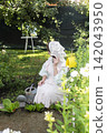 A serene outdoor gardening scene featuring a person in a light dress with a white apron and shoes, watering plants with a metal watering can. 142043950