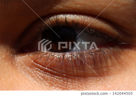 human eye close-up girl child human eye close-up girl child 142044505