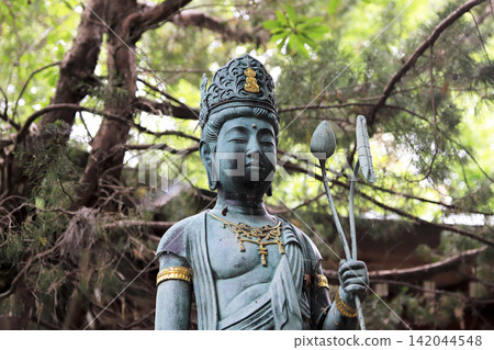 A statue of Kannon enshrined within the grounds of a Buddhist temple. A statue of Kannon enshrined within the grounds of a Buddhist temple. 142044548