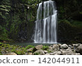 Summer Cherry Blossom Waterfall 142044911