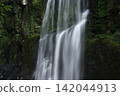 Summer Cherry Blossom Waterfall 142044913