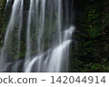 Summer Cherry Blossom Waterfall 142044914