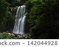 Summer Cherry Blossom Waterfall 142044928
