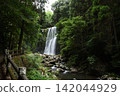 Summer Cherry Blossom Waterfall 142044929