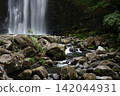 Summer Cherry Blossom Waterfall 142044931
