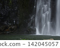 Summer Cherry Blossom Waterfall 142045057