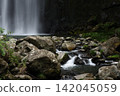 Summer Cherry Blossom Waterfall 142045059