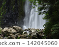 Summer Cherry Blossom Waterfall 142045060