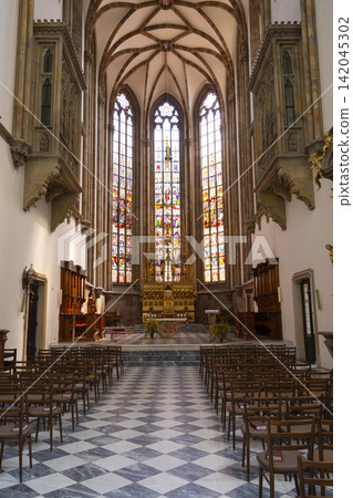 the Cathedral of Saints Peter and Paul in Brno, Czech Republic the Cathedral of Saints Peter and Paul in Brno, Czech Republic 142045302