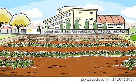 Sweet potato fields stretch out in front of the school building and gymnasium. 142045346