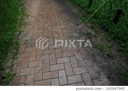 夜晚昏暗的磚砌小路和路旁的草地 142047042