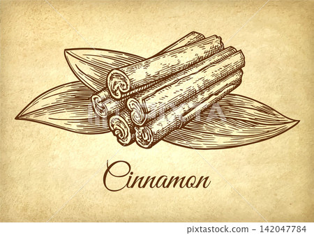 Cinnamon sticks and leaves. Ink sketch of spice. Cinnamon sticks and leaves. Ink sketch of spice. 142047784