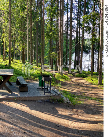 Forest Picnic Area by Lake Forest Picnic Area by Lake 142049864