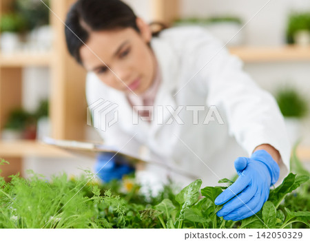 Laboratory, science and woman with plants for research, growth experiment and ecology study. Healthcare, agriculture and scientist with herbs, leaves and natural sample for botany, medicine or agro Laboratory, science and woman with plants for research, growth experiment and ecology study. Healthcare, agriculture and scientist with herbs, leaves and natural sample for botany, medicine or agro 142050329